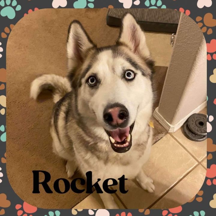 Rocket 1