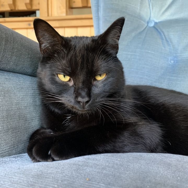 Frito *Bonded with Cheeto* 1