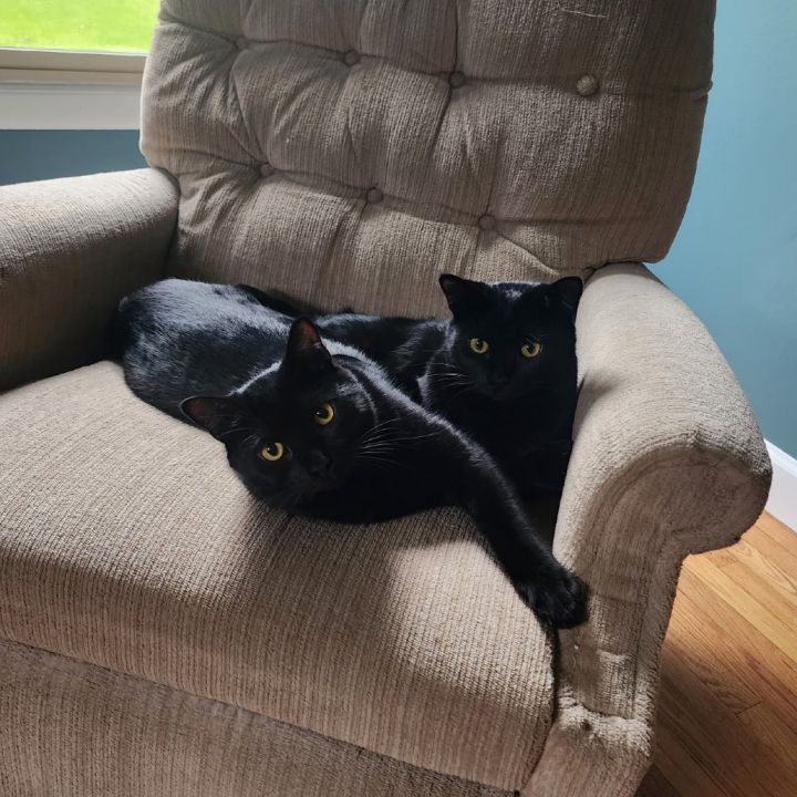 Frito *Bonded with Cheeto* 6
