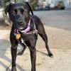 Lucy photo 3