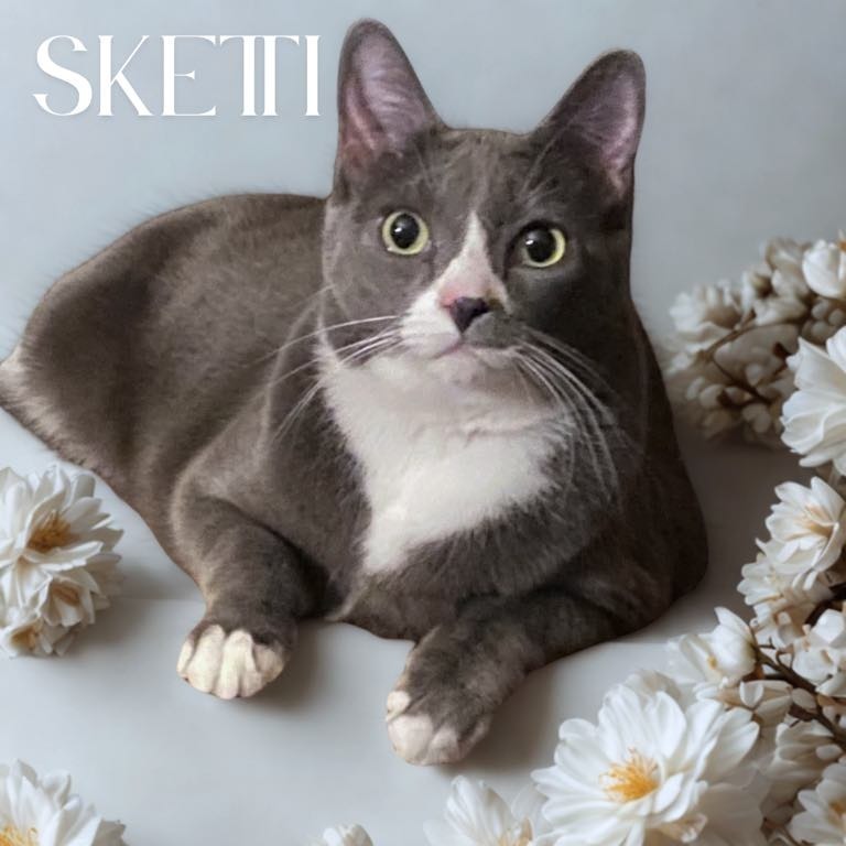 Sketti