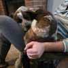 Rusty photo 4