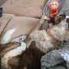 Rusty photo 6