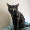 Norma Jean photo 2