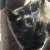 Norma Jean photo 3