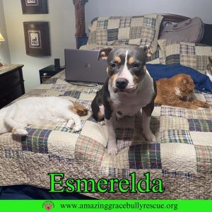 Esmerelda, Young Female unknown