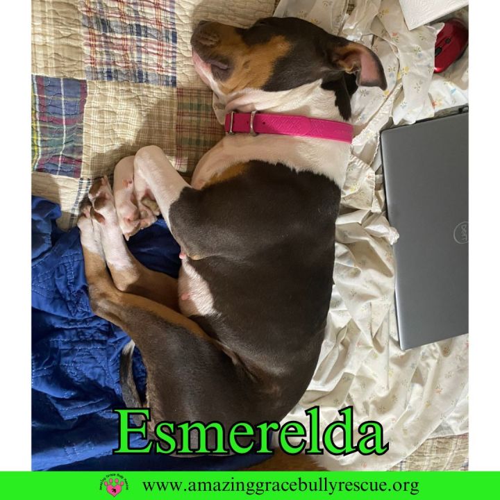 Esmerelda 2