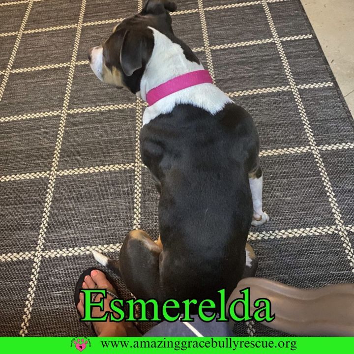 Esmerelda 3