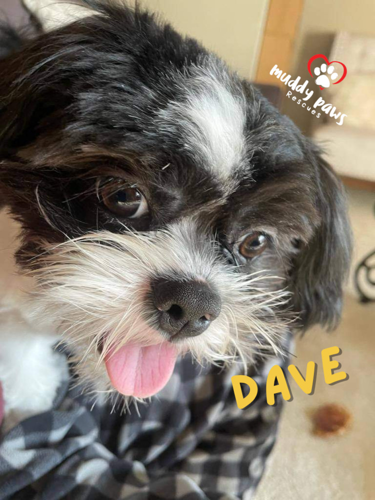 Dave -- No Longer Accepting Applications