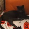 Smokey photo 2