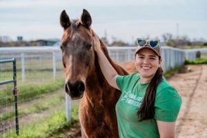 Jenny, Adult Female Saddlebred