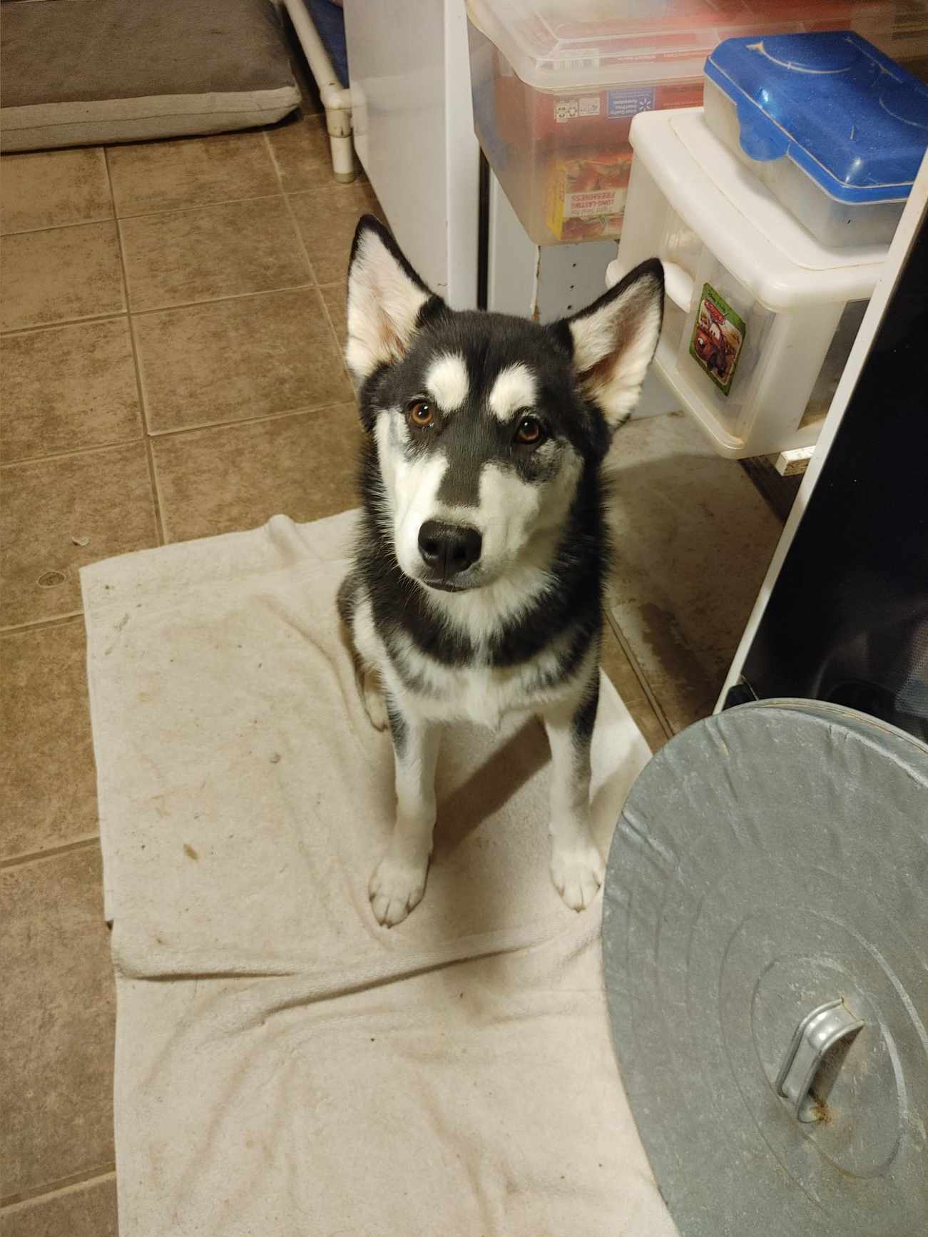 Nora