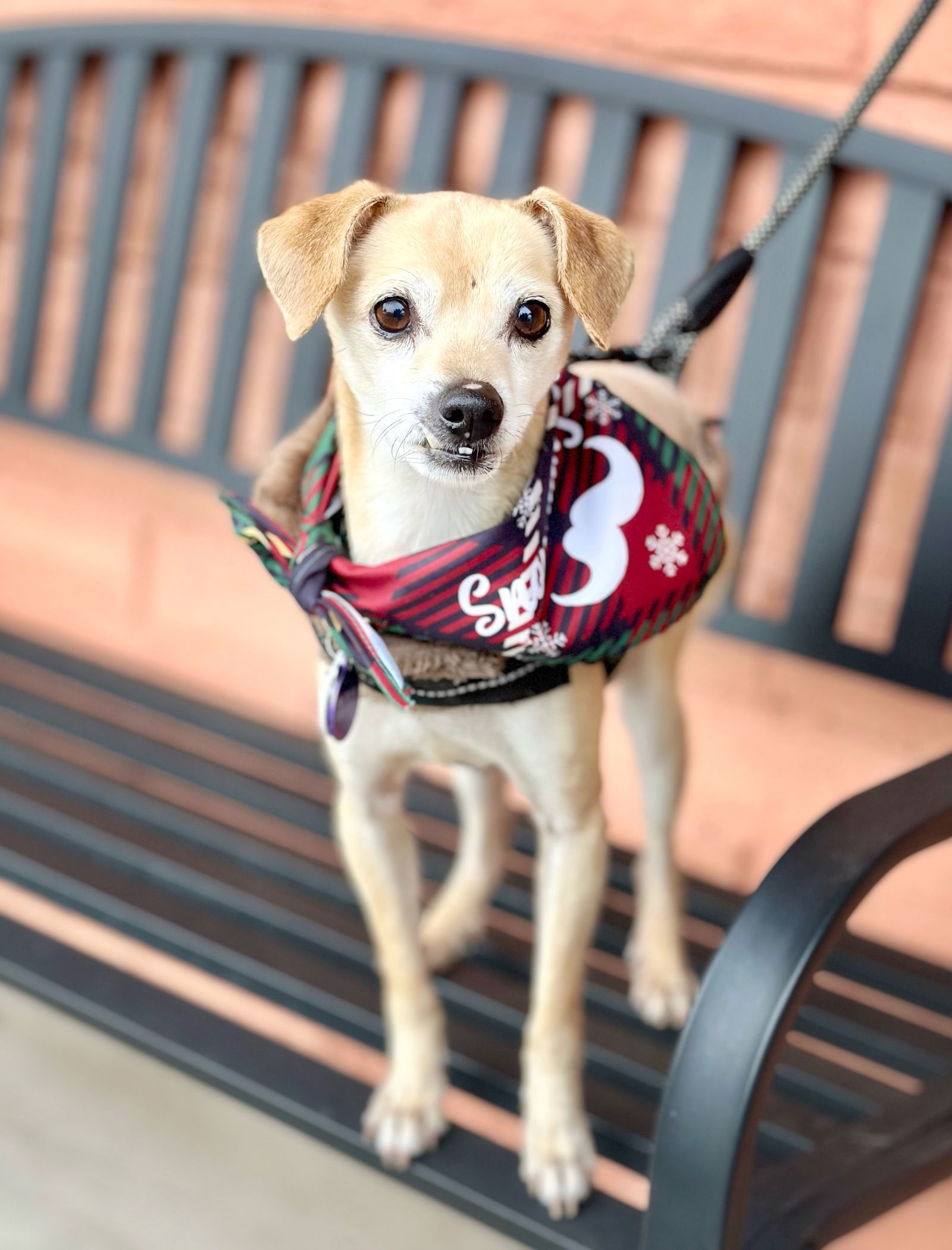 *Wesley Crusher (StarTrek) -- SEPT 2024