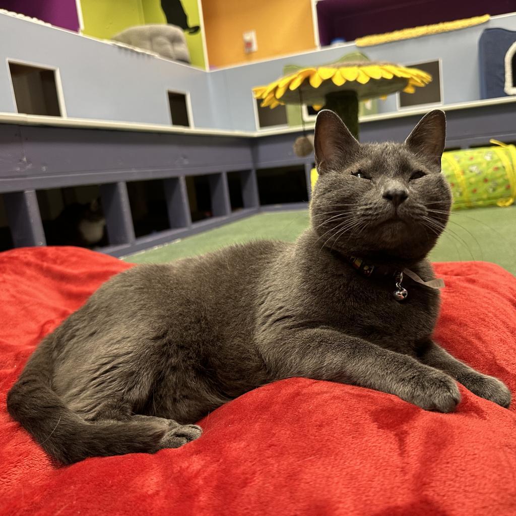 Frankie
