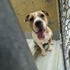 Nala photo 4