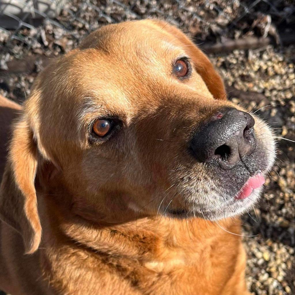 Fender FKA Jazzmaster