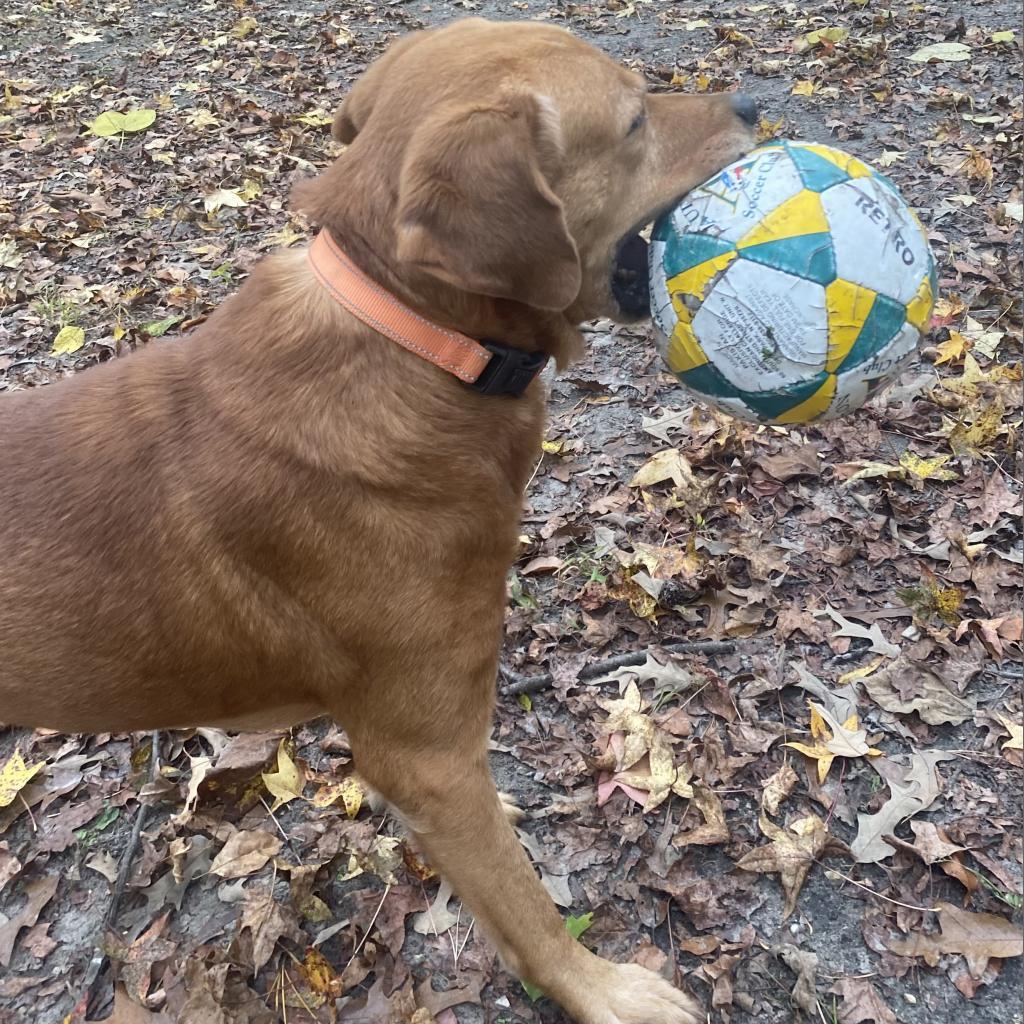 Fender FKA Jazzmaster