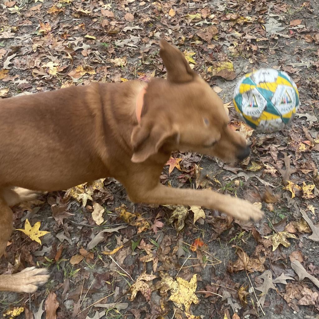 Fender FKA Jazzmaster