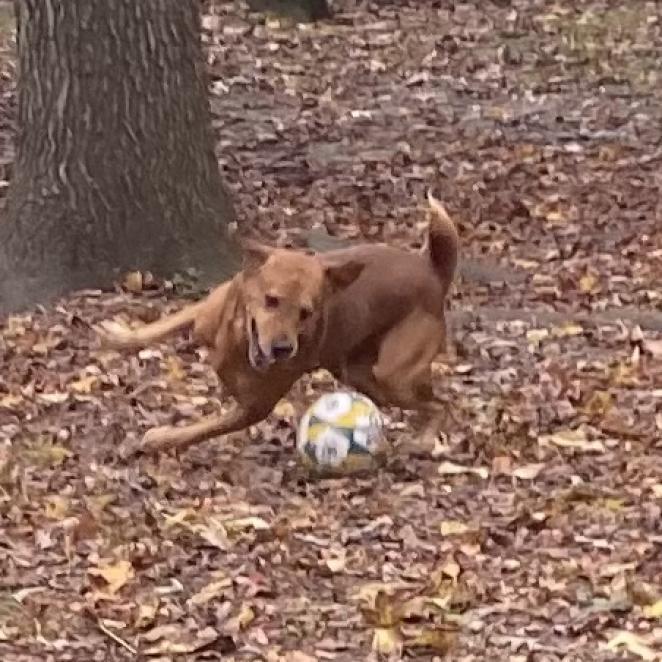 Fender FKA Jazzmaster