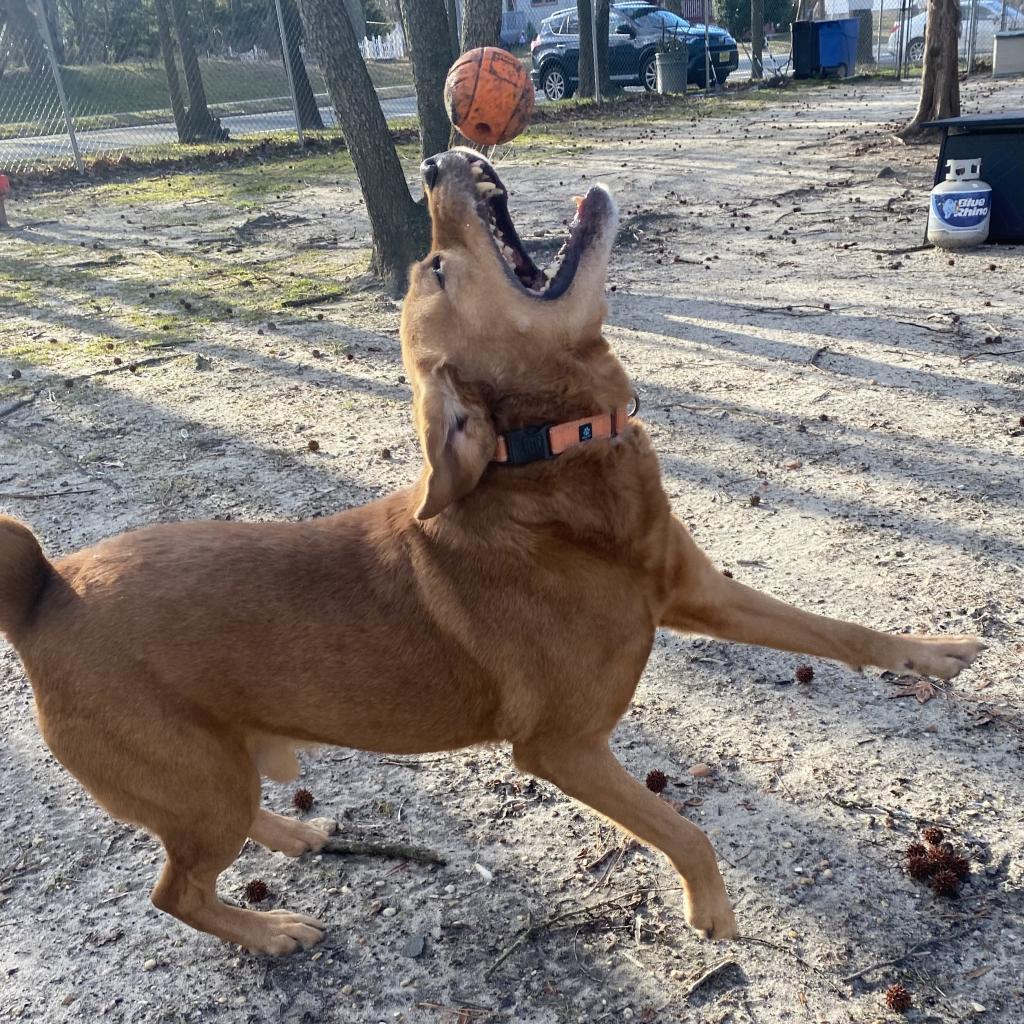 Fender FKA Jazzmaster