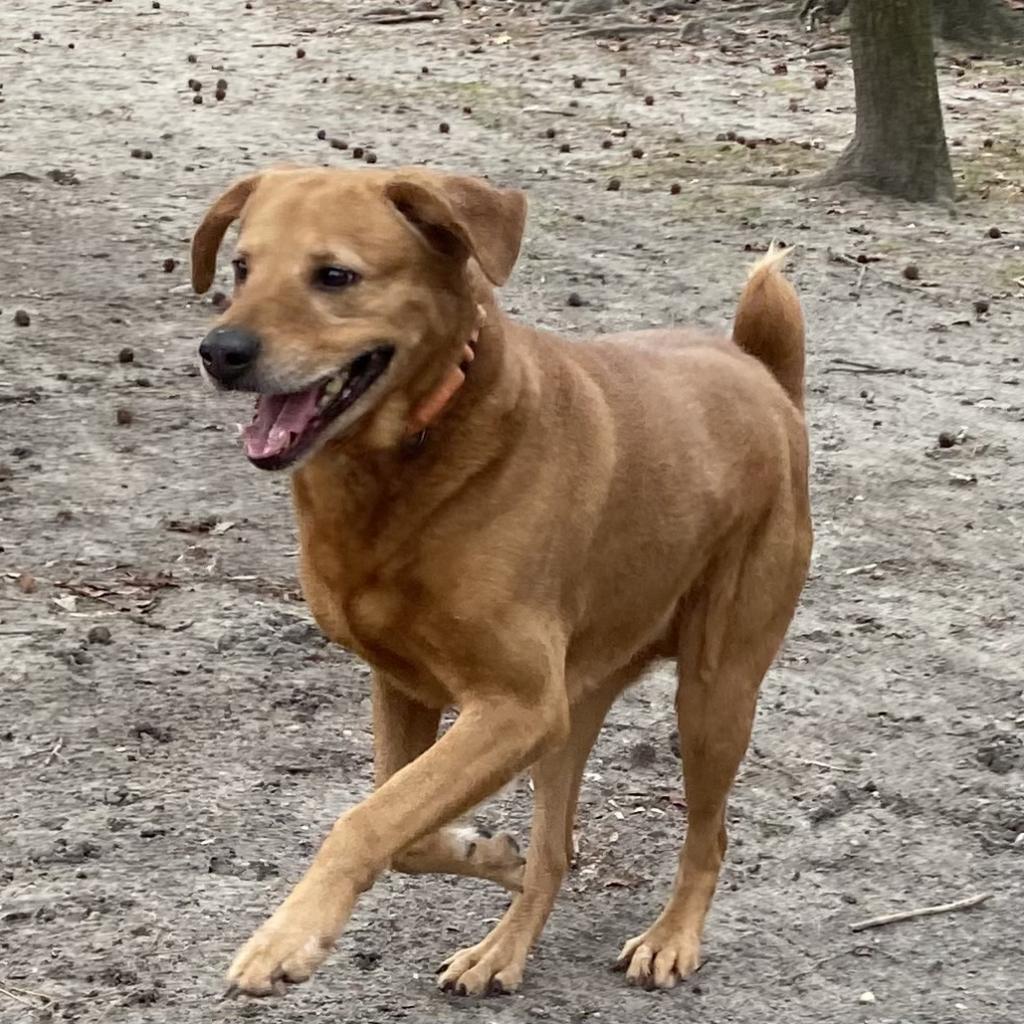 Fender FKA Jazzmaster