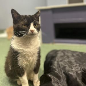 Lorelai, Senior Female unknown