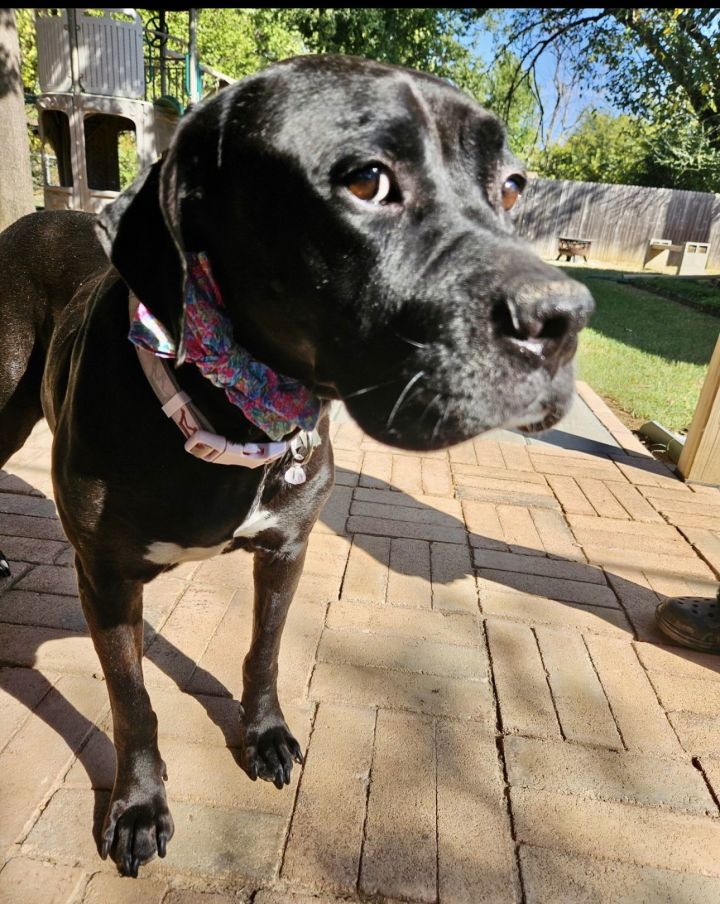 Sadie 3