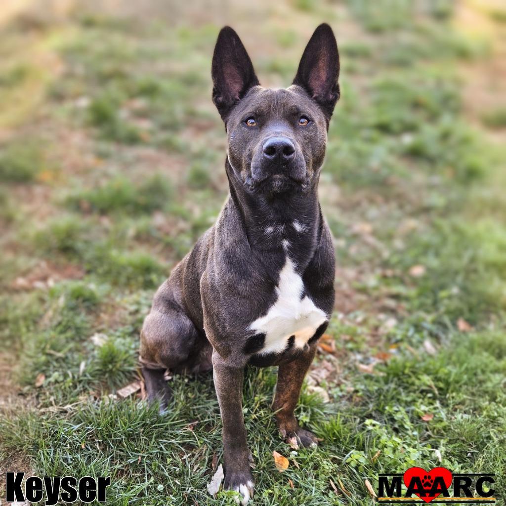 Keyser