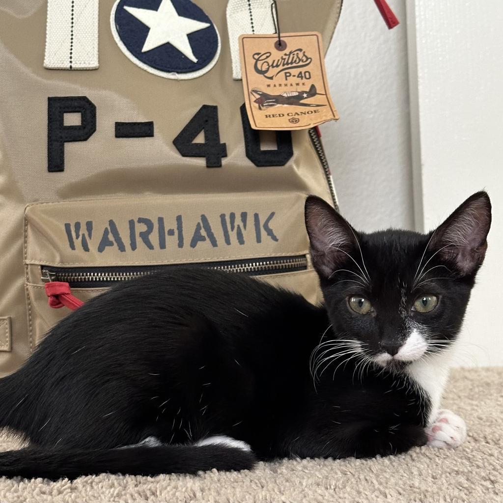 Naya