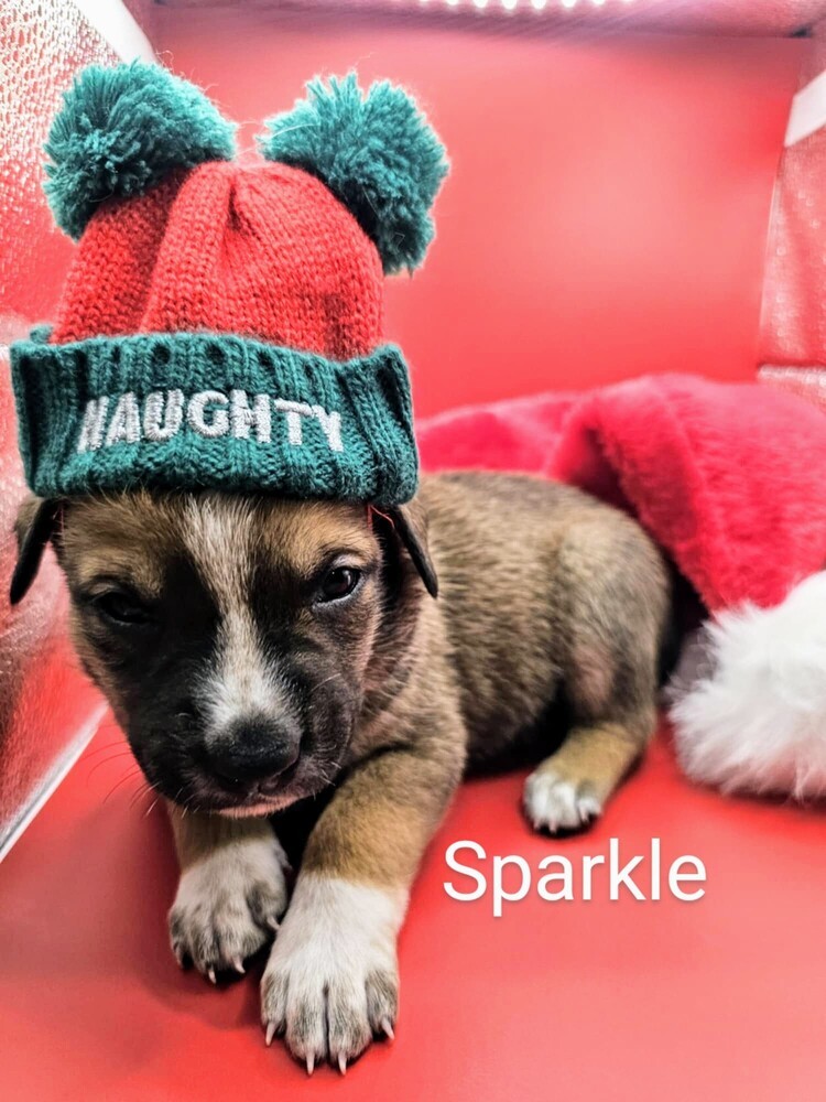 Sparkle