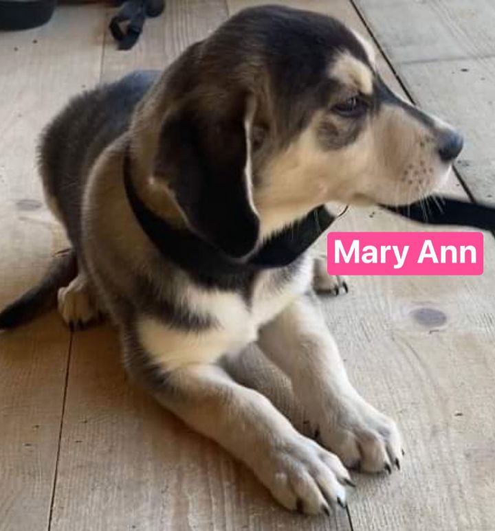 Mary Ann 2