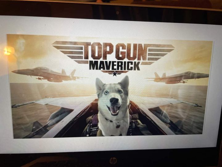 Maverick 2