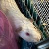Dusty photo 2
