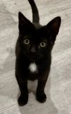 Dot photo 3