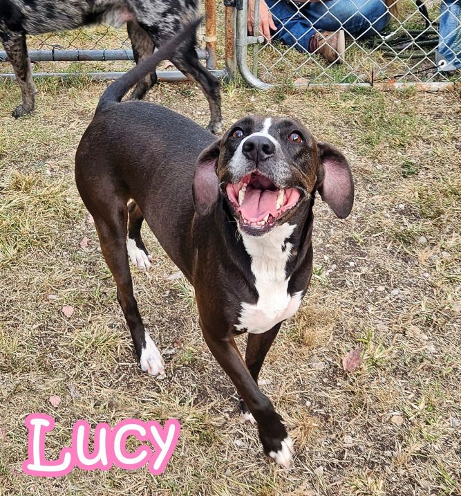 Lucy