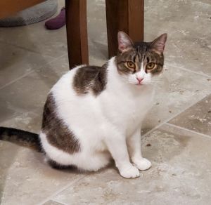 Carla