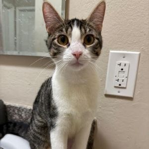 Nayru is a very clever and curious girl who loves to explore and hang out with h