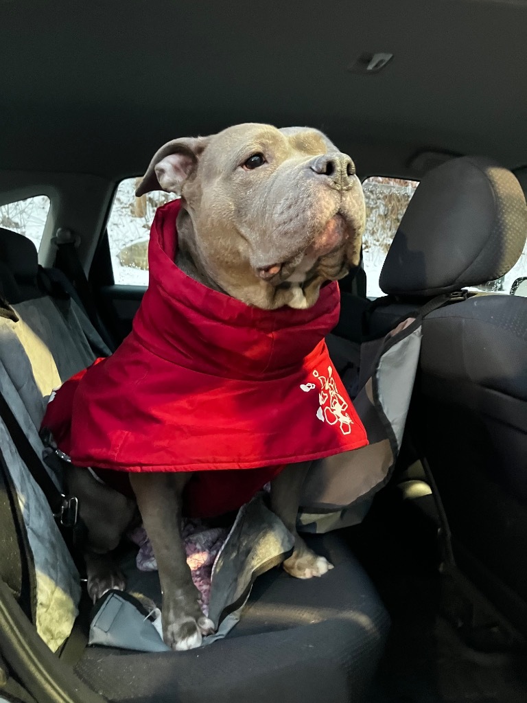 Penelope (Local)