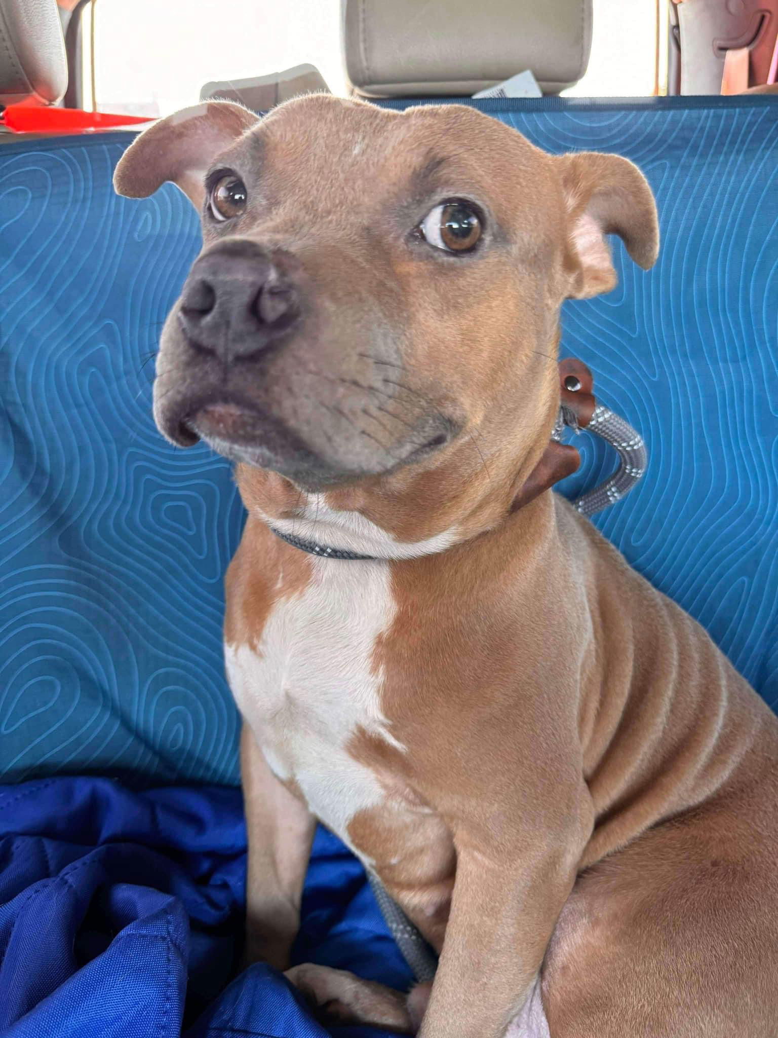 Zo - Timid Boy in need of LOVE