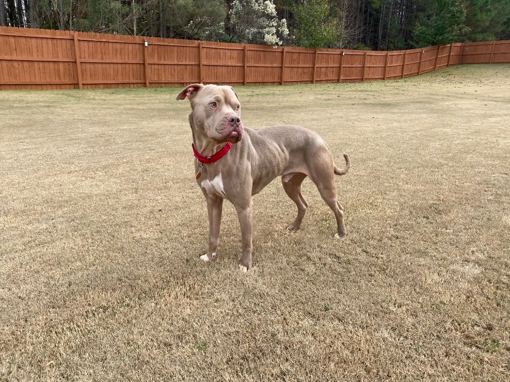 Baxter