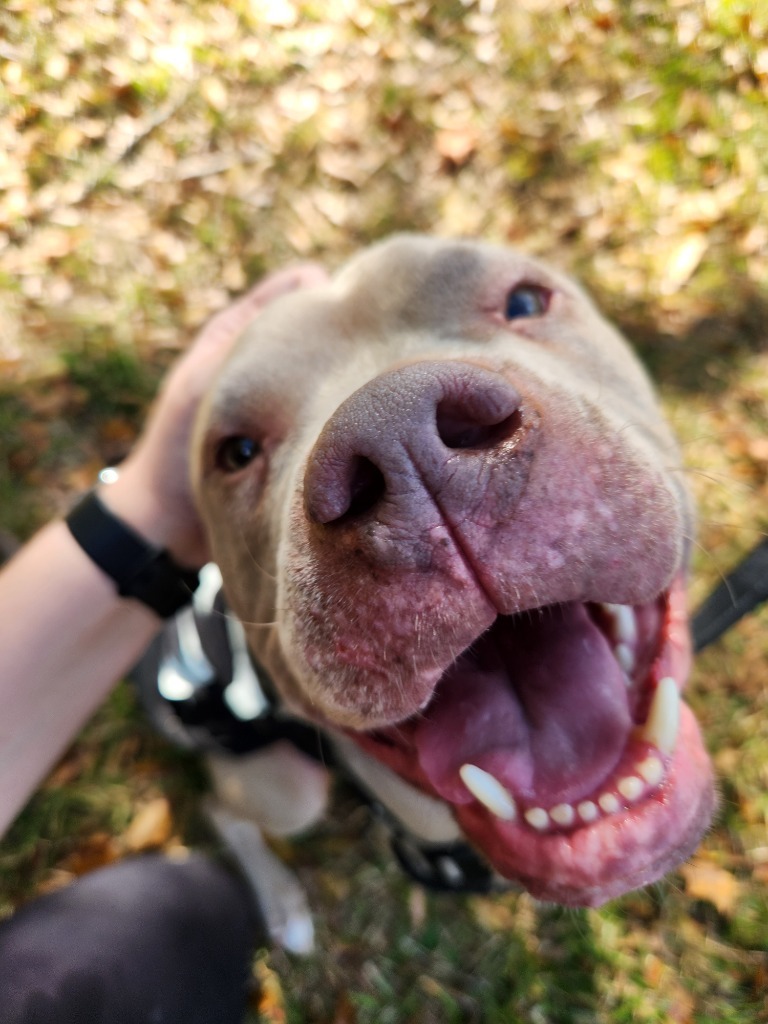 Baxter