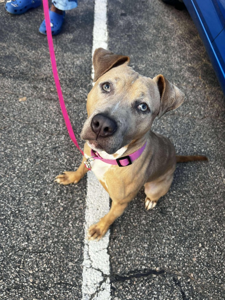 Zoe