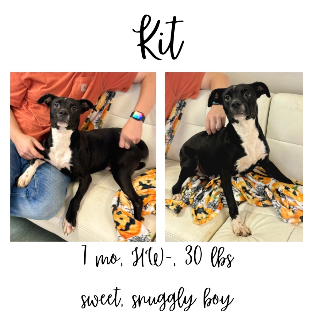 Kit