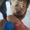 Hubert photo 5