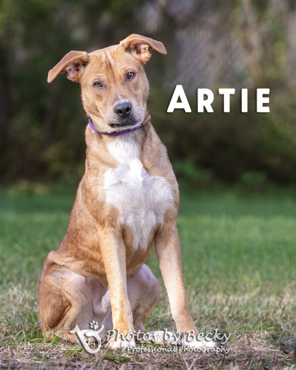 Artie 1