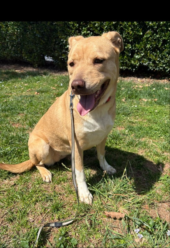 Xena ("Winnie")