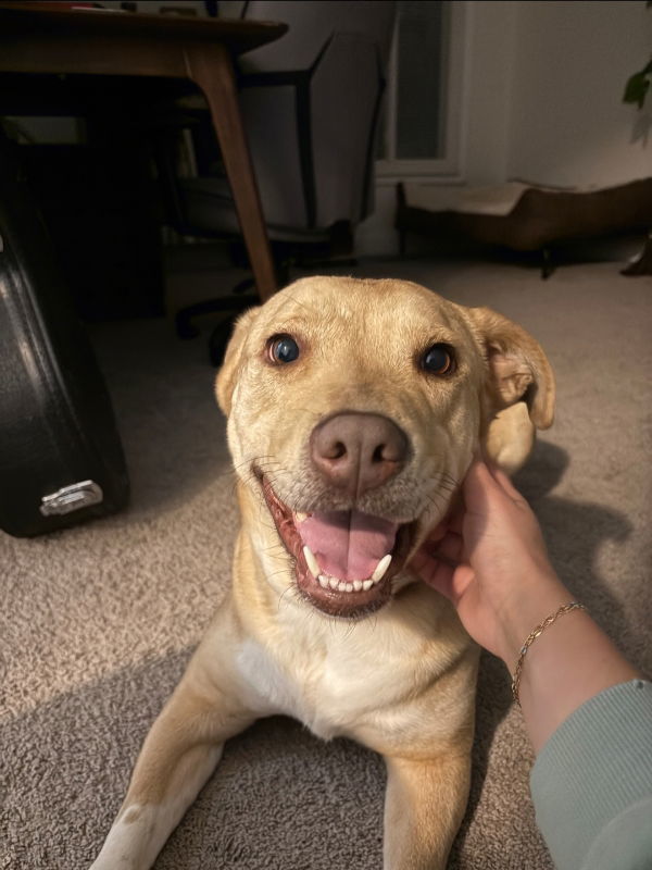 Xena ("Winnie")