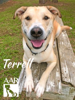 Terrell