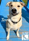Terrell photo 2