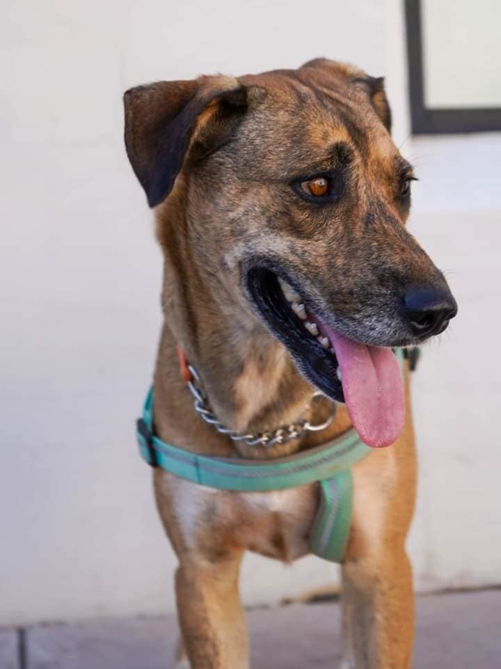 Henry (Courtesy post)